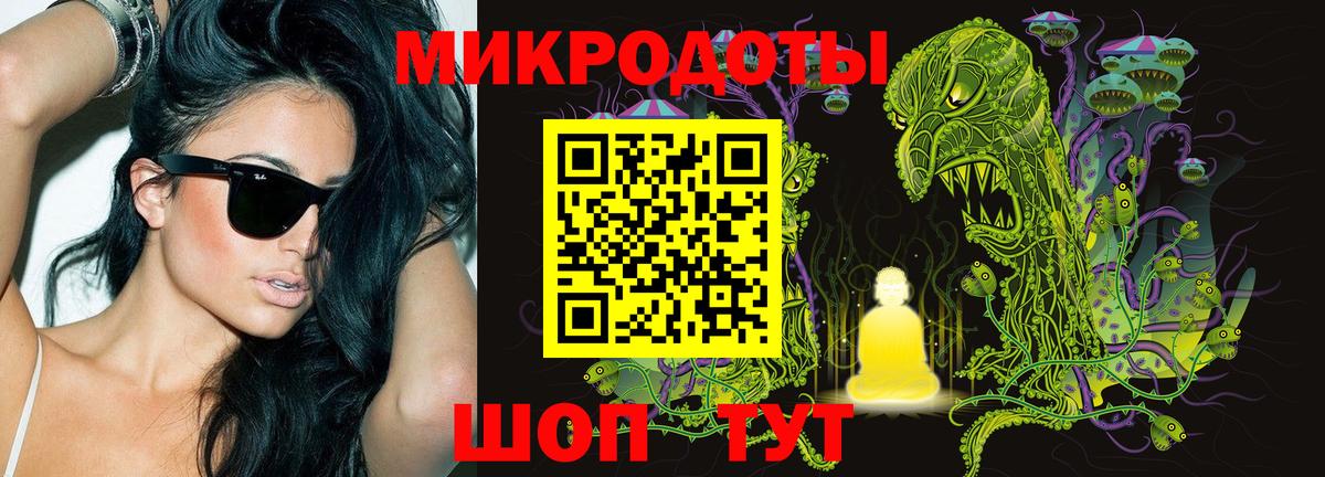Галлюциногенные грибы Psilocybine cubensis Славянск-на-Кубани